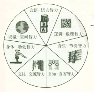 大脑的9种智力 大脑的9种智力