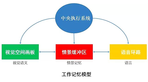 工作记忆原理